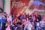 Human Bodies, un viatge inoblidable per l’interior del cos humà