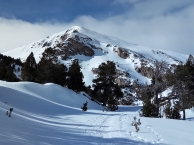 C. Excursionista Salouenc: raquetes de neu per la Cerdanya