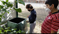 SIEI: compostatge - Escola verda